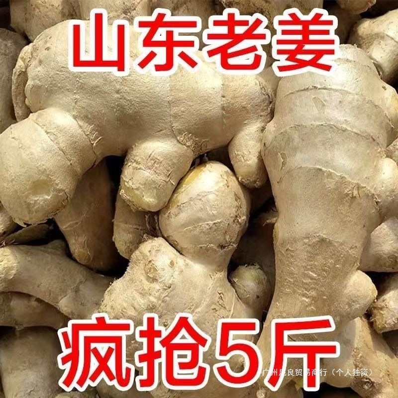 生姜 山東生姜 老生姜 産後生姜 風乾生姜 厳選された新鮮な掘り出しターメリック 送料無料 2.5kg 中国本土|undefined