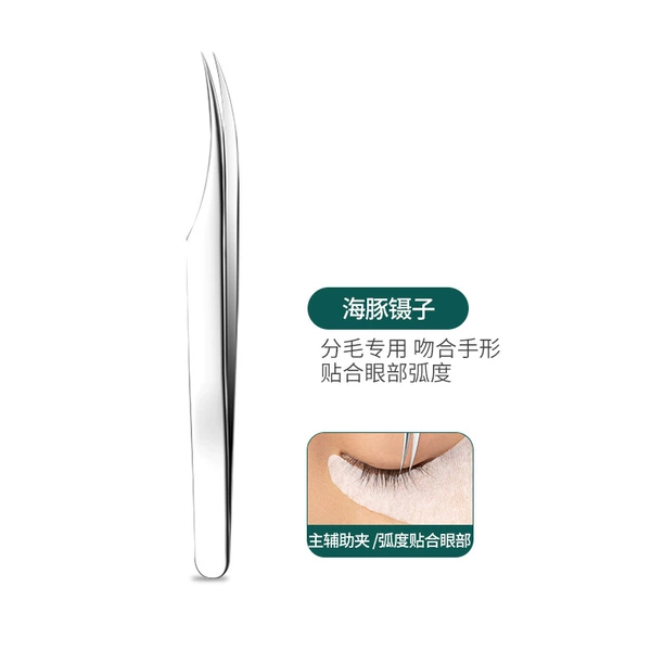Dolphin clip mirror light