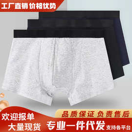 纯棉中腰男士内裤 男士全棉抗菌平角内裤 纯色透气四角裤头男批发
