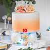 TX cross -border transparent acrylic splitter can fill the charging cake party party wedding round cake display rack