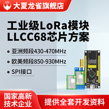 大夏龙雀LoRa无线模块LLCC68工业级通信传输SPI二次开发LR20-900