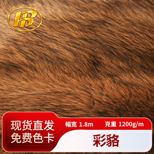 �ʺ�ë�q���� �ڼ��Lë��ëƤ��߷��bЬ�ӼҼ����� �S�ҬF؛���l