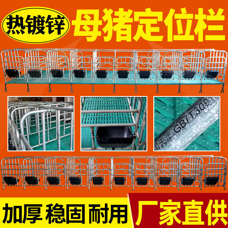 热镀锌母猪用产床保育床猪用限位栏限位栏带漏粪板加厚定位栏复合