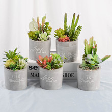 ��������ֲ���������ֲ������ϵ�� �Ҿӿ͏d�k����ϴ��̨�b�