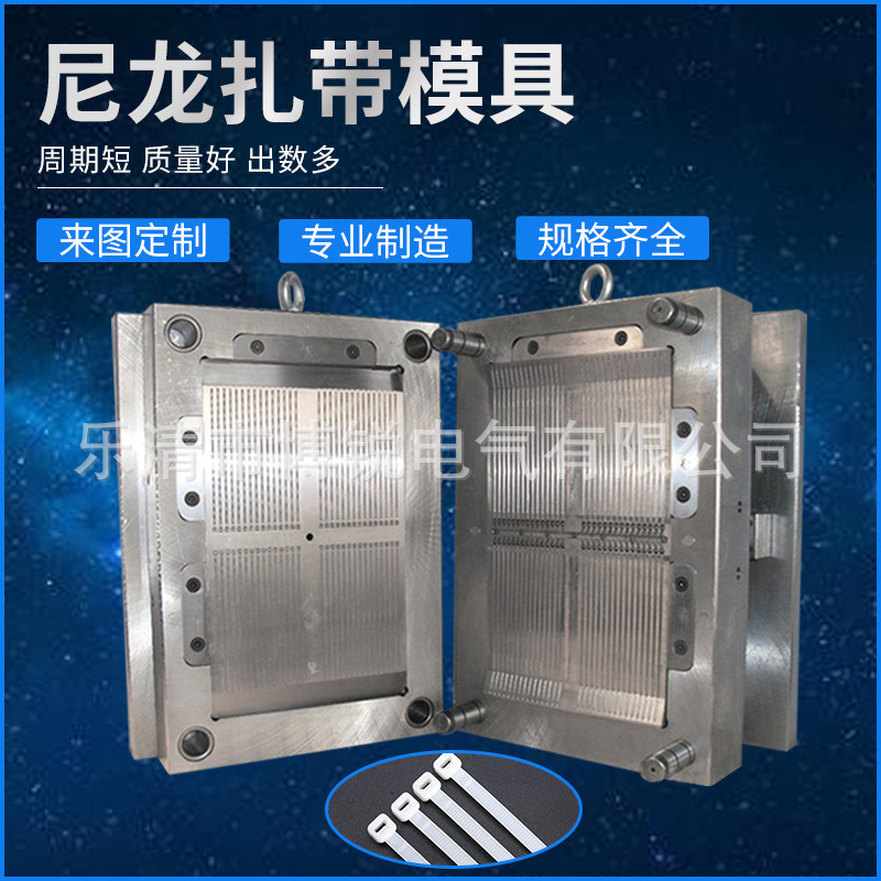 厂家制造模具 尼龙扎带模具 各种封条扎带模具尼龙飞机头注塑模具