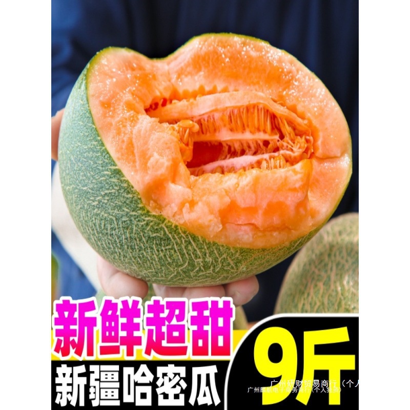 新疆哈密瓜10斤新鲜水果西州蜜瓜25号老汉瓜一整箱网纹甜瓜无特级