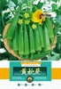 Wholesale yellow okra seeds sheep -horned seed seed nutrient rapeseed rapeseed four seasons balcony courtyard vegetable seed company