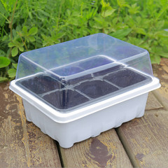 6-hole seedling box three-piece set of plant culture moisturizing warm box seedling tray breathable 12-hole plastic seeding box cross-border