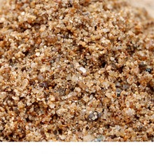 ɳBNֲȻֺɳSɳ~׵ɰʯBɰN