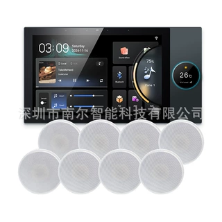 涂鸦智能中控屏10寸背景音乐主机涂鸦智能家居ZIGBEE二组分区控制