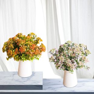 7��������m����7��СҰ��ֲ���Ėřڲ��������Բ廨�߷���