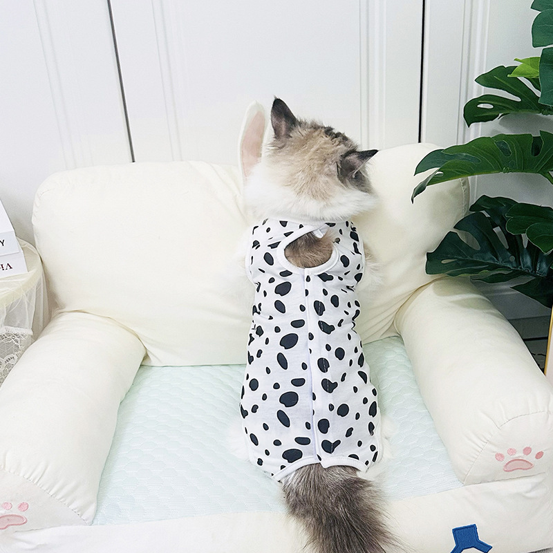 발견 된 살균 세트