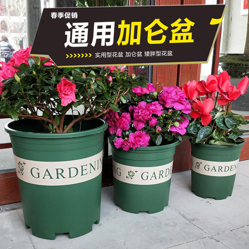 (Wholesale), strawberry, plastic universal travel flowerpot for growing plants