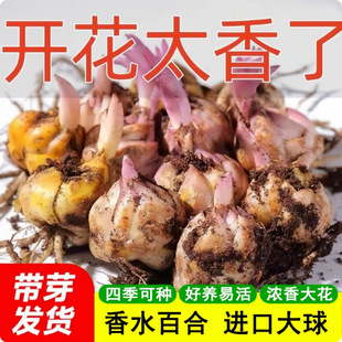 �M����ˮ�ٺϷN���ش�����ļ��_�����B������ѿ�r�л��ٺϻ��N��