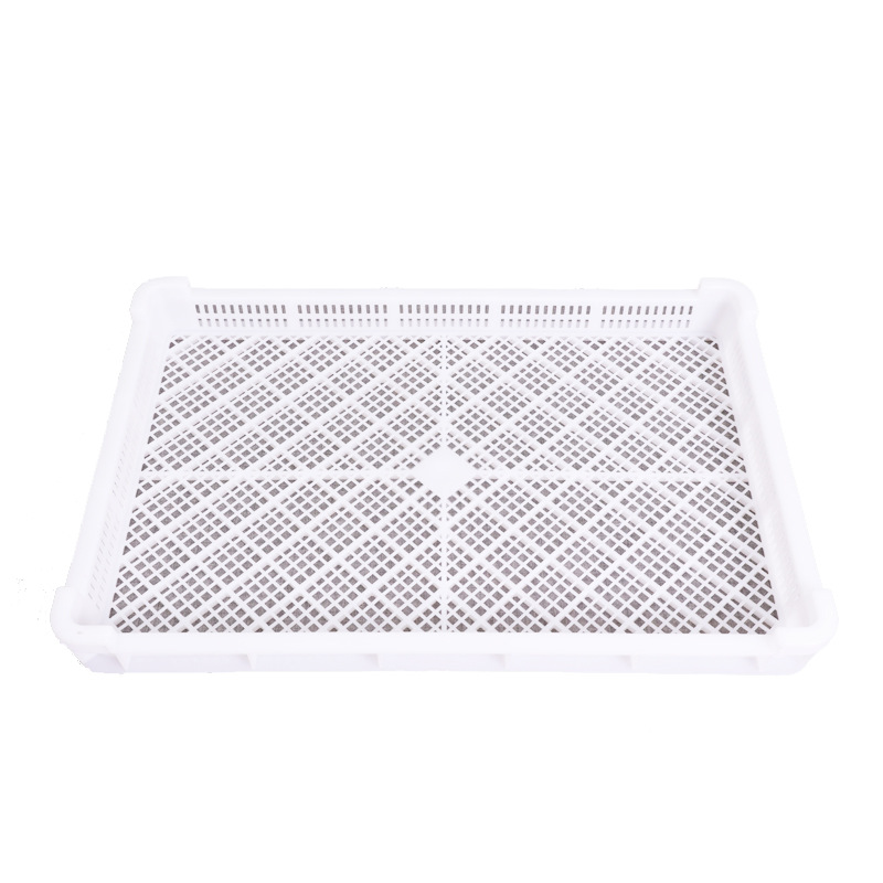 批发山东60*40食品级冷冻盘 肉串塑料盘 肉串冷冻盘 厂家