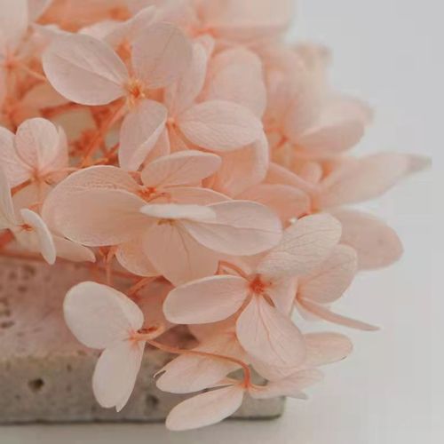 High-Quality Long-Lasting Everlasting Flowers, Flameless Aroma Diffuser for Bedroom Office, Long-Lasting Fragrance Air Freshener, Decorative Ornament