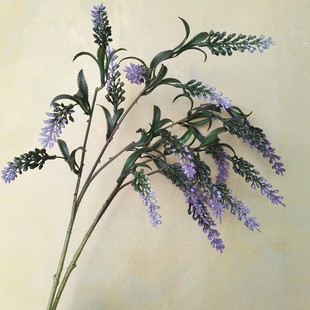 Pβ޹² ҾӘӰgƵbOӋ仨cˇzӰ