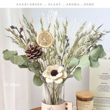 ins�L�W�t�ɻ�������Ȼõ���޻��ɹ����ȼ����͏d�b[�O�羳