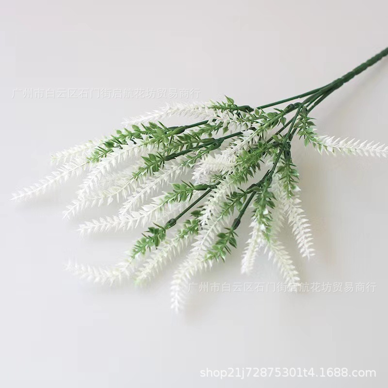 [라벤더 화이트] 벨벳 없음