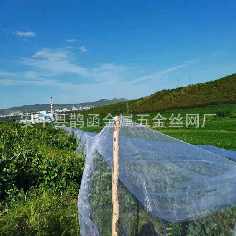 高质量养殖蟾蜍养猪场防蚊网蔬菜大棚果园防鸟网纱保质五年以上