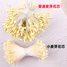 �O��С̖������ѿ���Ļ���DIY�n�������^l��L�l�����ϻ�о