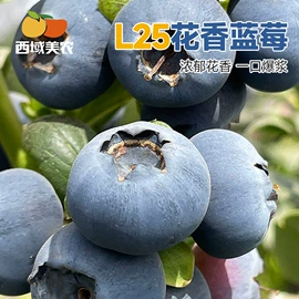 无花果干;红枣干;酸奶