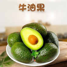 【全年】云南哈斯牛油果代发2/15枚鳄梨巨无霸奶油果当季新鲜水果
