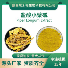 盐酸小檗碱97%黄连素黄柏提取物 Berberine Hydrochloride100g/袋