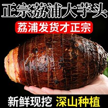 �F�ڬF�l���ڏV���������r�����^�������Ŵ�ش�������]�羳