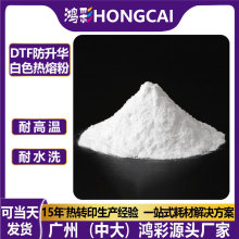 鸿彩防升华dtf热熔粉高弹聚酰胺白墨烫画烫图粉白色热熔胶粉批发