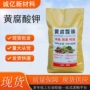 农用生物水产干燥黄腐酸钾