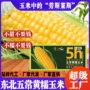 东北真空直发包装苞米
