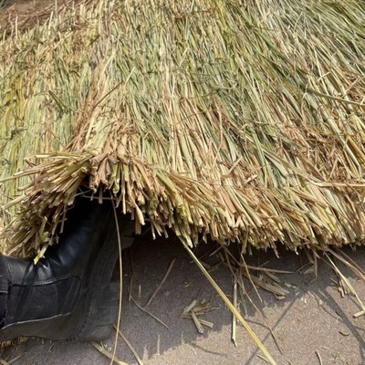 Straw Agritainment Roof Decorative curtain Pets selected Thatch grass Roof decorate Thatch grass One piece wholesale