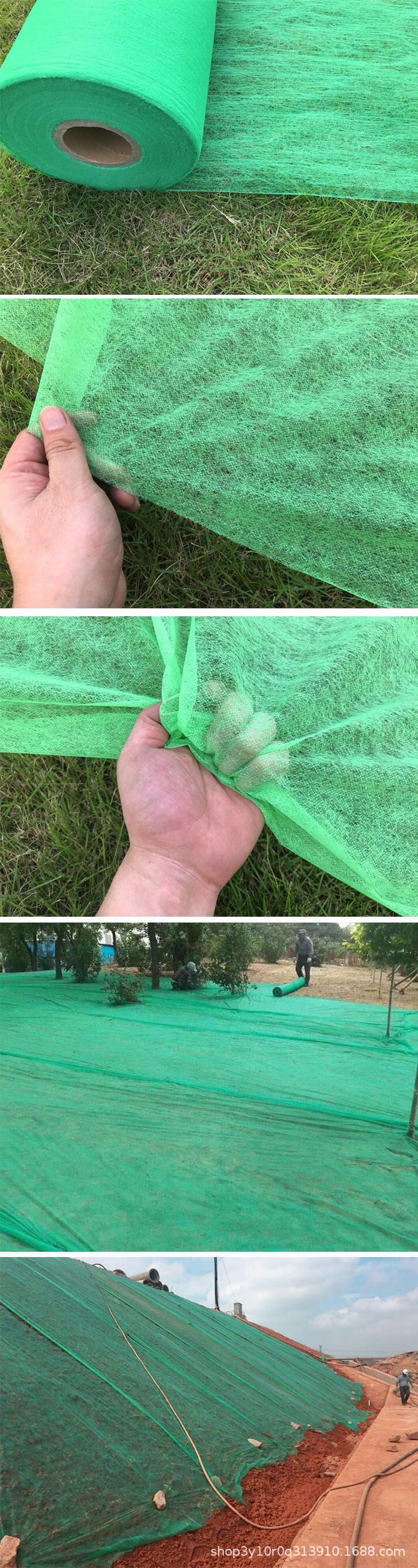 绿化布组.jpg