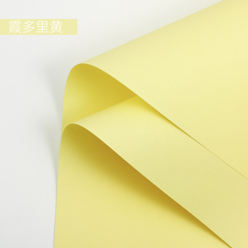 Papel de Arte para Envolver Flores Papel Especial Impermeable y Grueso para Ramos de Regalo
