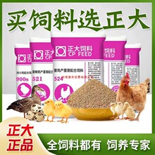 �����J���u����g�������С�u�_�ڼZʳ�a���µ����r��ό���Ʒ