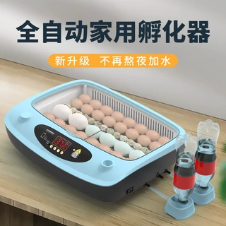 全自动智能孵化器小型家用自动上水孵蛋器鸡鸭鹅鸽子孵化机器
