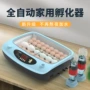 孵化家用智能自动孵蛋器