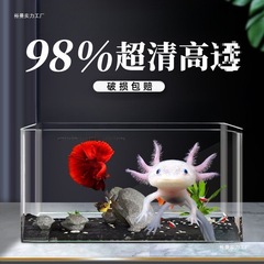ドイツのアクリル水槽一体成型六角恐竜水槽家庭用長方形透明模造ガラス Chen