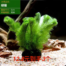 �G��С����ˮ�_�m����쾰����ˮ�|�����������ˮ�ݺ��B�׻�