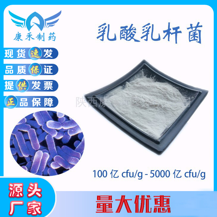 乳酸乳杆菌100亿cfu/g200亿500亿益生菌活性冻干粉食品级优品