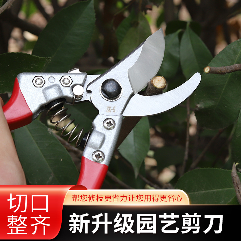 剪枝剪刀园林花艺修剪刀果树剪刀花剪果树修枝剪剪树枝稀果剪刀