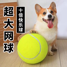 签名充气网球9.5寸大网球抛掷玩具狗狗玩具直径24cm广告宠物网球