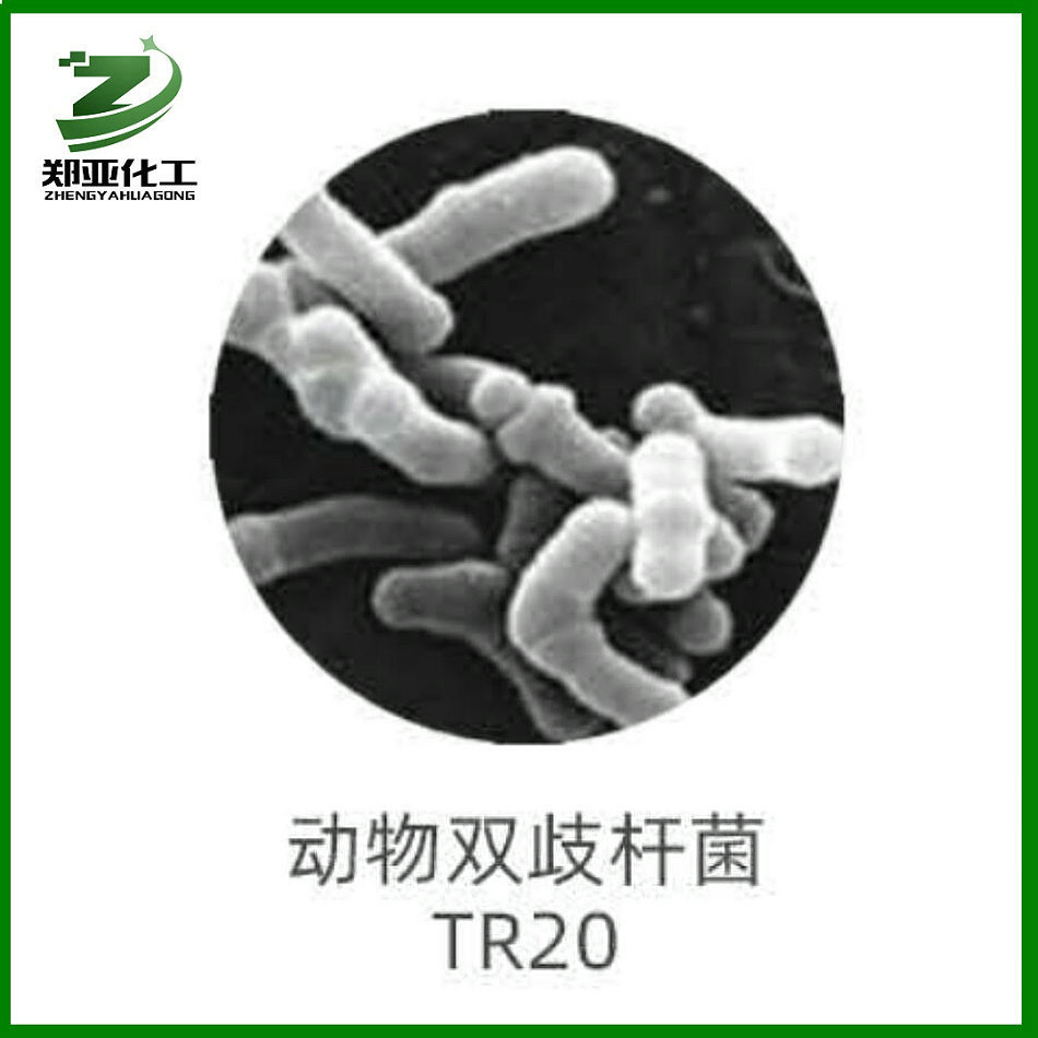 批发供应动物双歧杆菌 乳酸菌冻干粉