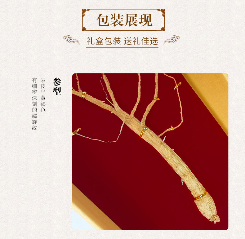 Changbai Mountain Ginseng Whole Root Dried Gift Box 3g Per Root in use