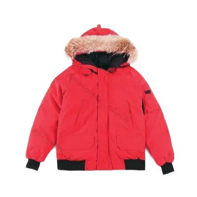 In-Stock Warm Hooded Windproof down Jacket Coat Parka Goose down Jacket