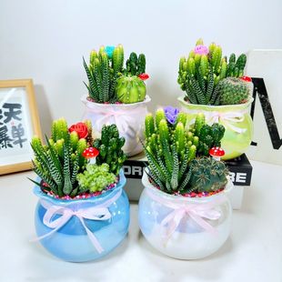 �����������ļ����B�҃��k�����_������ֲ�﹤һ��