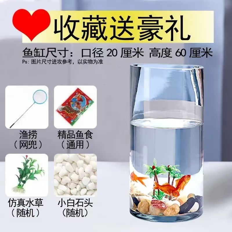 ラウンド水槽円筒形金魚水槽ガラスデスクトップリビングルーム透明小型家庭用カメストレート生態造園水槽|undefined