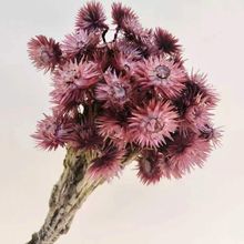 ʯɻMyѩ߶Ȼĺѩɏcb