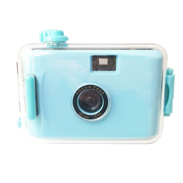 Light blue green shell